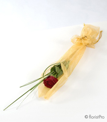 A Single Red Rose