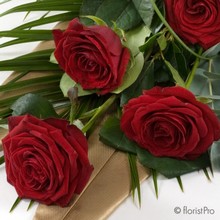 Half A Dozen Premium Red Roses