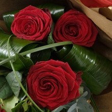 Half A Dozen Premium Red Roses